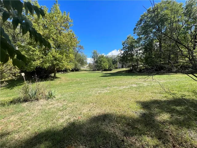 a view of a field with a trees in the background