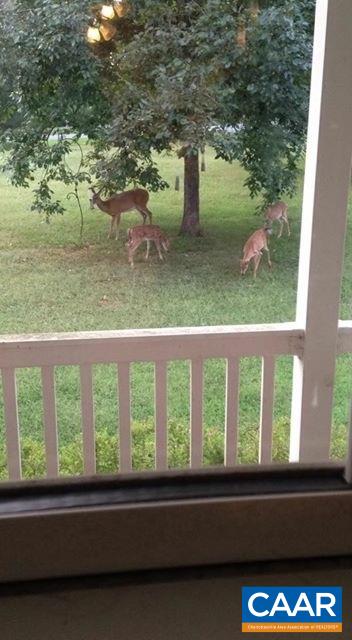 696 Valley View Road Ruckersville, VA 22968 - Photo 29 of 32 a balcony with a yard