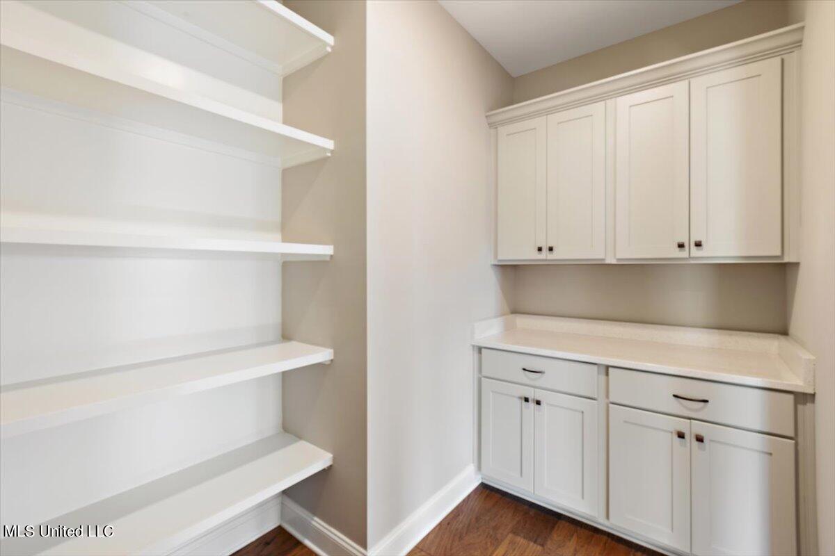 7548 Thomas Riley Street Hernando, MS 38632 - Photo 15 of 34 Dogwood- Pantry
