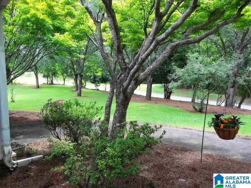 310 Olive Branch Road Ashland, AL 36251 - Photo 3 of 32
