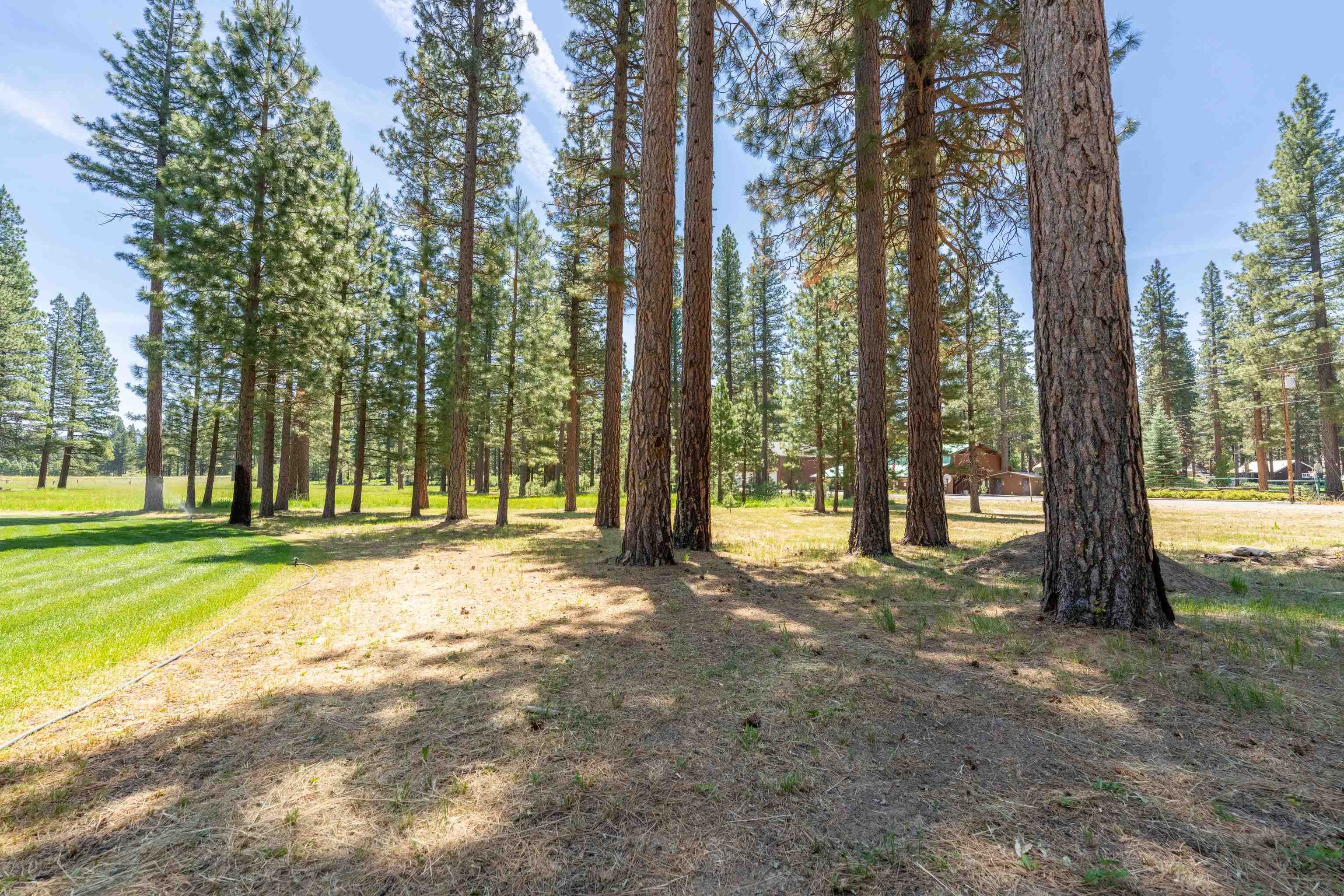 97 Main Street Calpine, CA 96124 - Photo 46 of 46