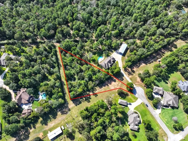 a view of plant with lots of tree