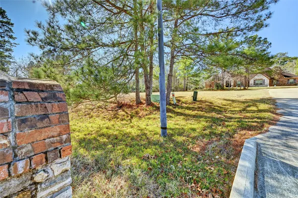 a view of yard with tree