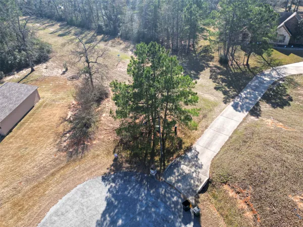 a view of a yard with plants and trees