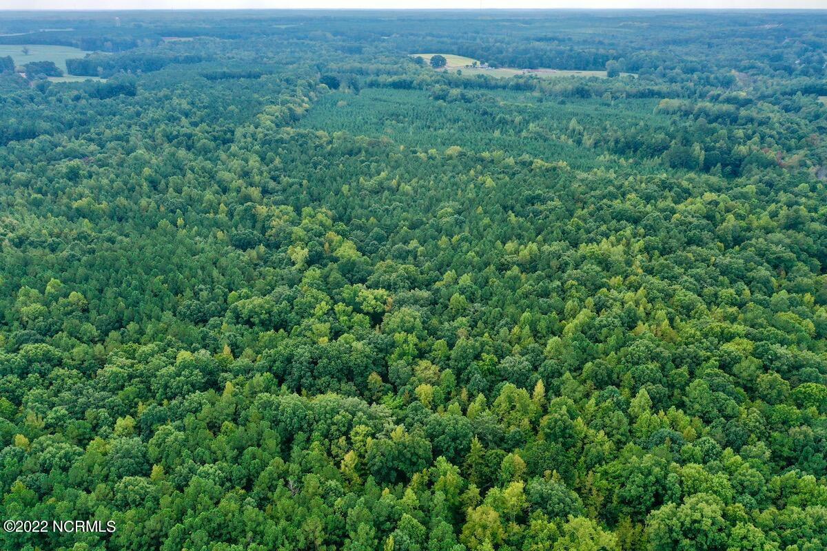 0 Peter Stallings Road Macon, NC 27551 - Photo 20 of 50 DJI_0872