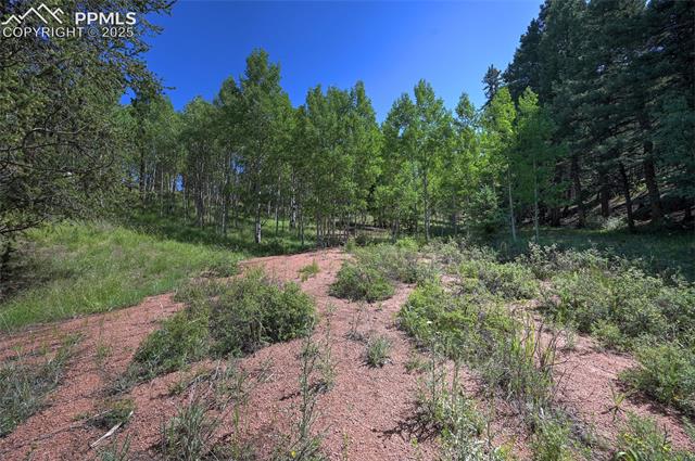 412 Princess Road Cripple Creek, CO 80813 - Photo 29 of 45 Gallery Image 29