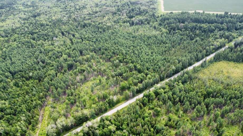 0 Jemtland Road Caribou, ME 04736 - Photo 6 of 7 dji_fly_20260713_103356_600_178395360291