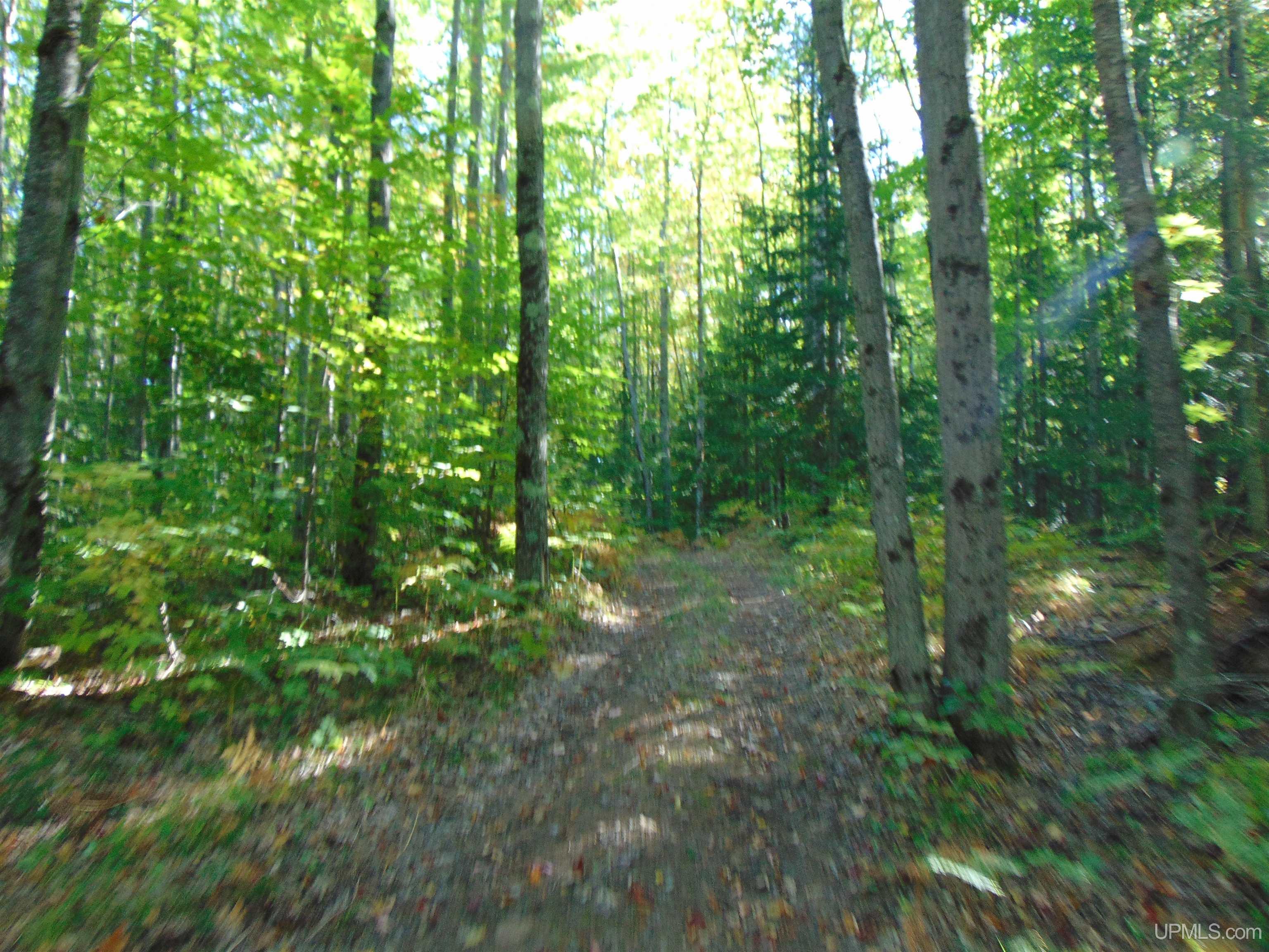 14571 Holombo Road Bruce Crossing, MI 49912 - Photo 28 of 30