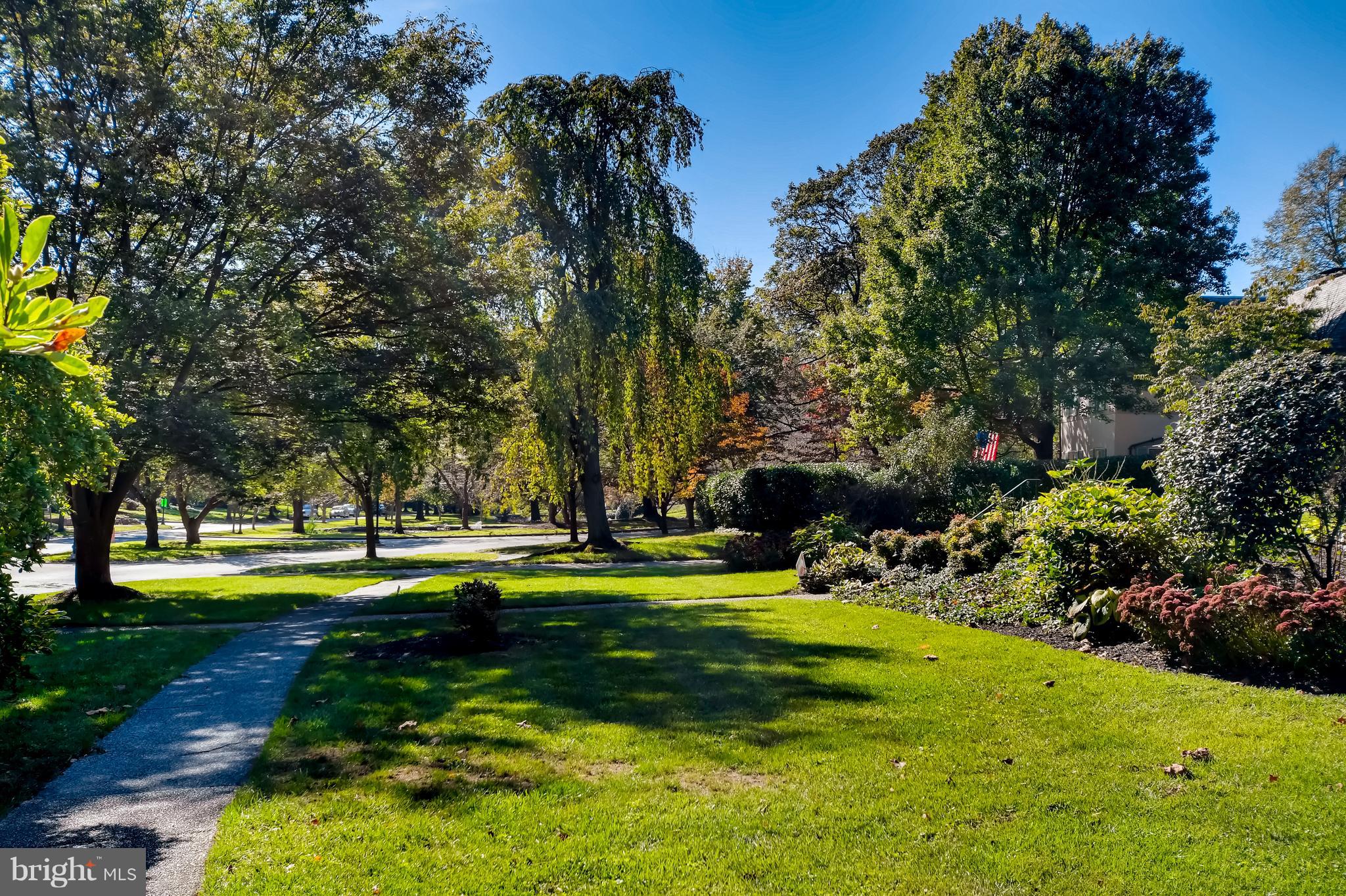5302 Springlake Way Baltimore, MD 21212 - Photo 31 of 35 a view of a park with large trees