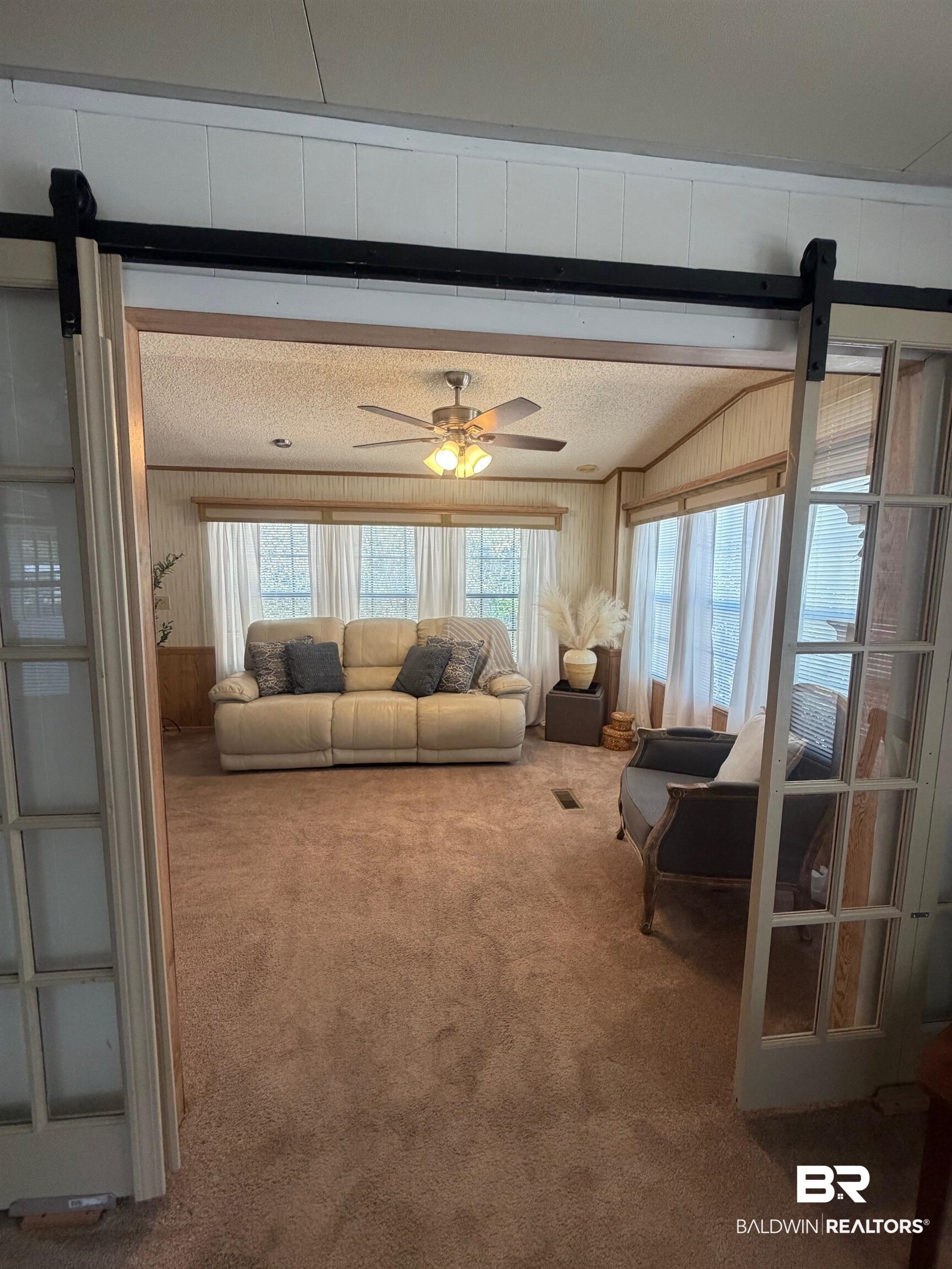 685 Escambia Loop Lillian, AL 36549 - Photo 5 of 43 Carpeted living room featuring a barn door, ceiling fan, wood walls, a textured ceiling, and plenty of natural light