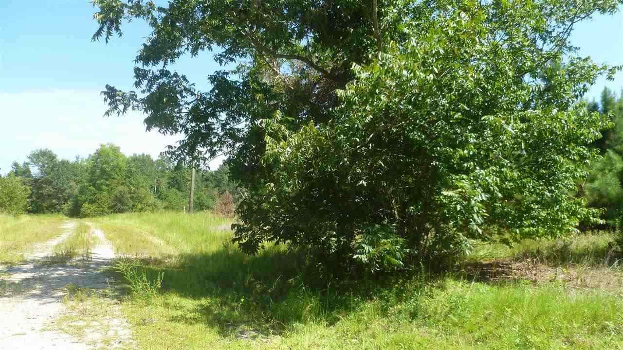 Lot C4 Colorado Ranch Road Loris, SC 29569 - Photo 1 of 7 Gallery Image 1