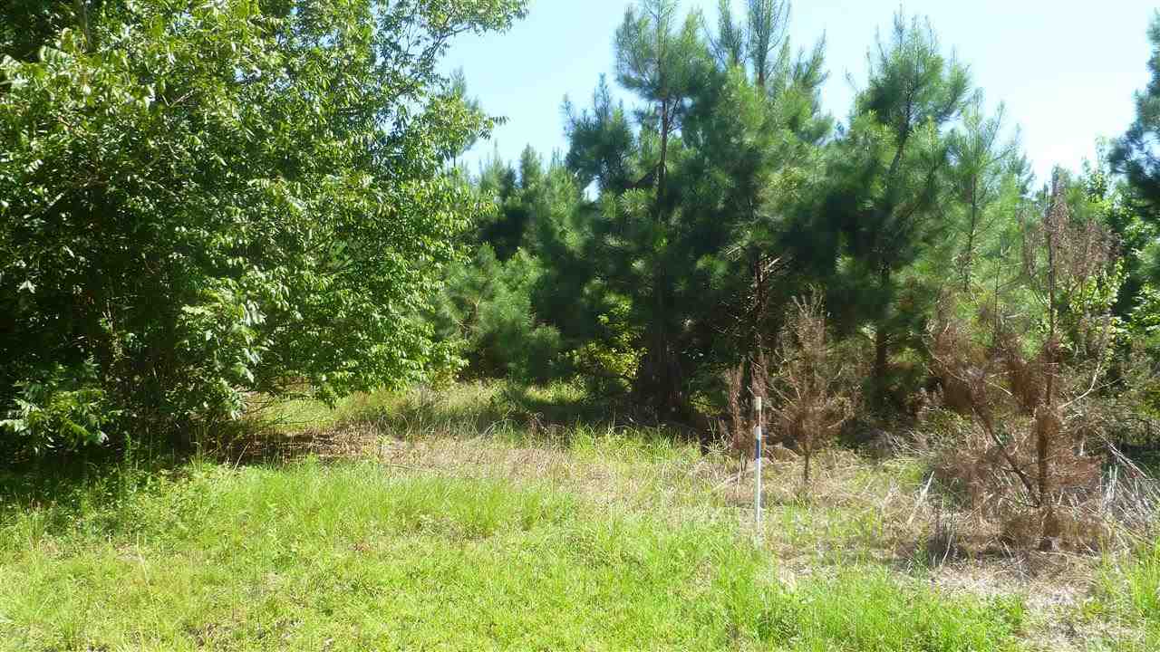 Lot C4 Colorado Ranch Road Loris, SC 29569 - Photo 2 of 7 Gallery Image 2