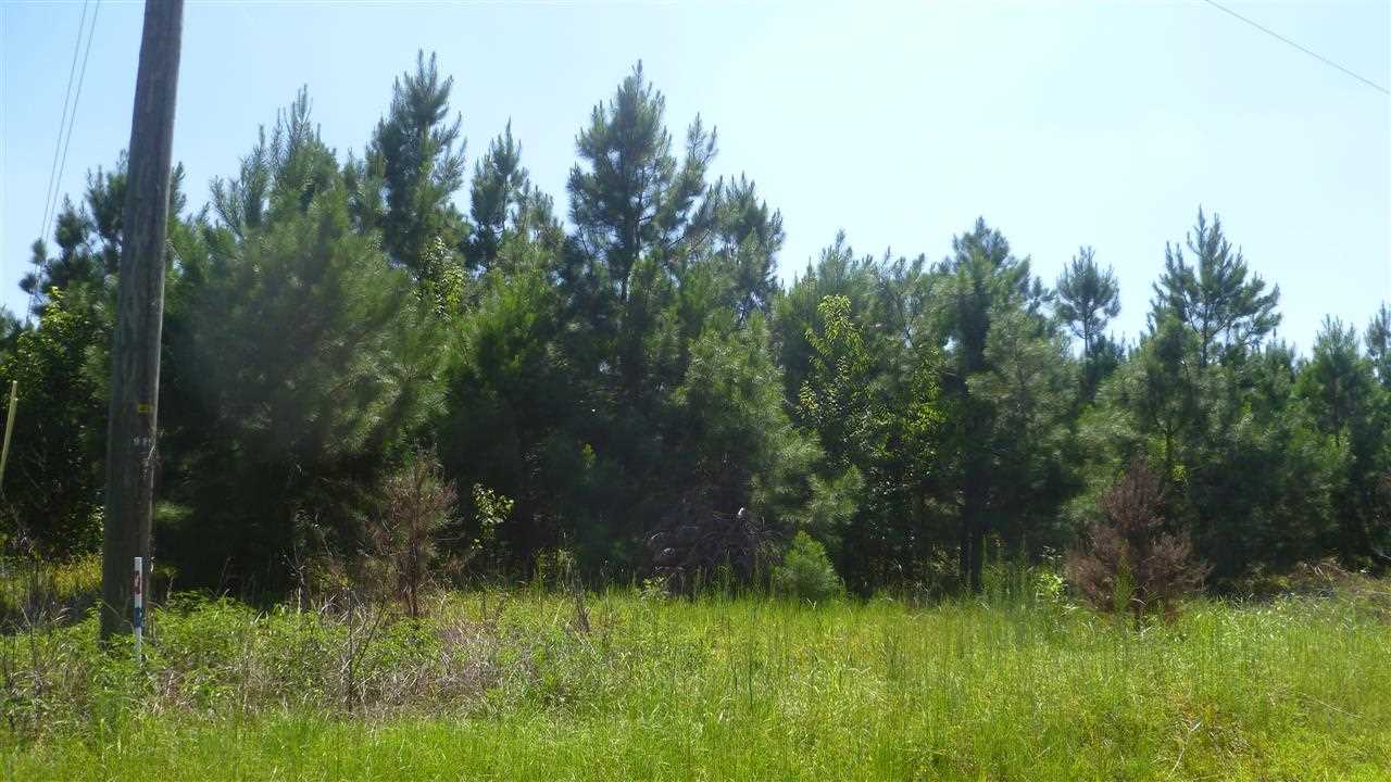 Lot C4 Colorado Ranch Road Loris, SC 29569 - Photo 3 of 7 Gallery Image 3