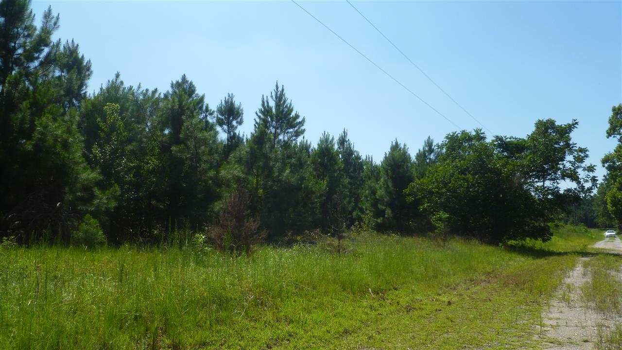 Lot C4 Colorado Ranch Road Loris, SC 29569 - Photo 4 of 7 Gallery Image 4