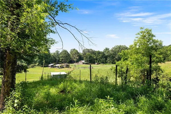 a view of outdoor space with yard and green space