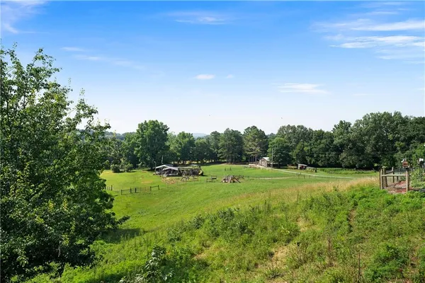 a view of a park with large trees