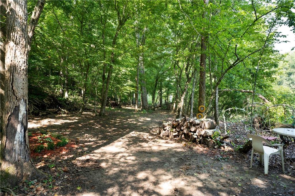 669 Nicklesville Road Northeast Resaca, GA 30735 - Photo 25 of 60 a view of a forest with trees