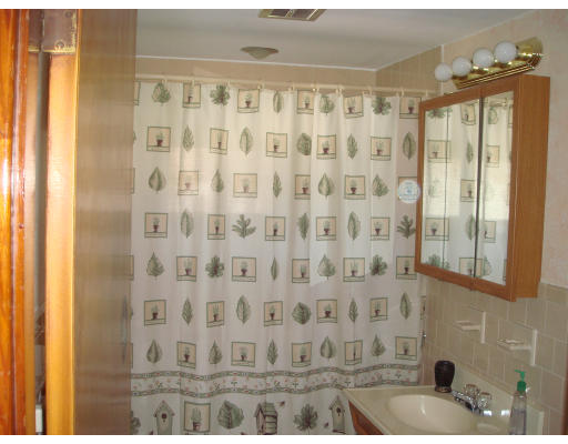 77 Sunapee Street Springfield, MA 01108 - Photo 22 of 28 a bathroom with a shower curtain and a sink
