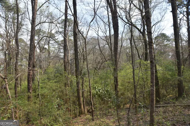 $265,000 | 0 Main, Waverly Hall, GA 31831