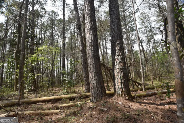 $265,000 | 0 Main, Waverly Hall, GA 31831