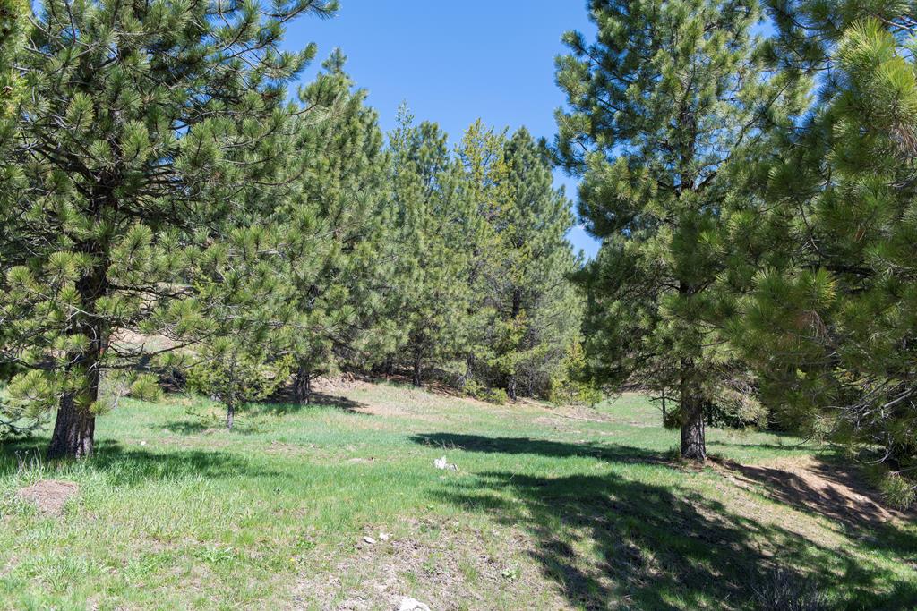 1 Clear Creek Road Cascade, ID 83611 - Photo 4 of 10