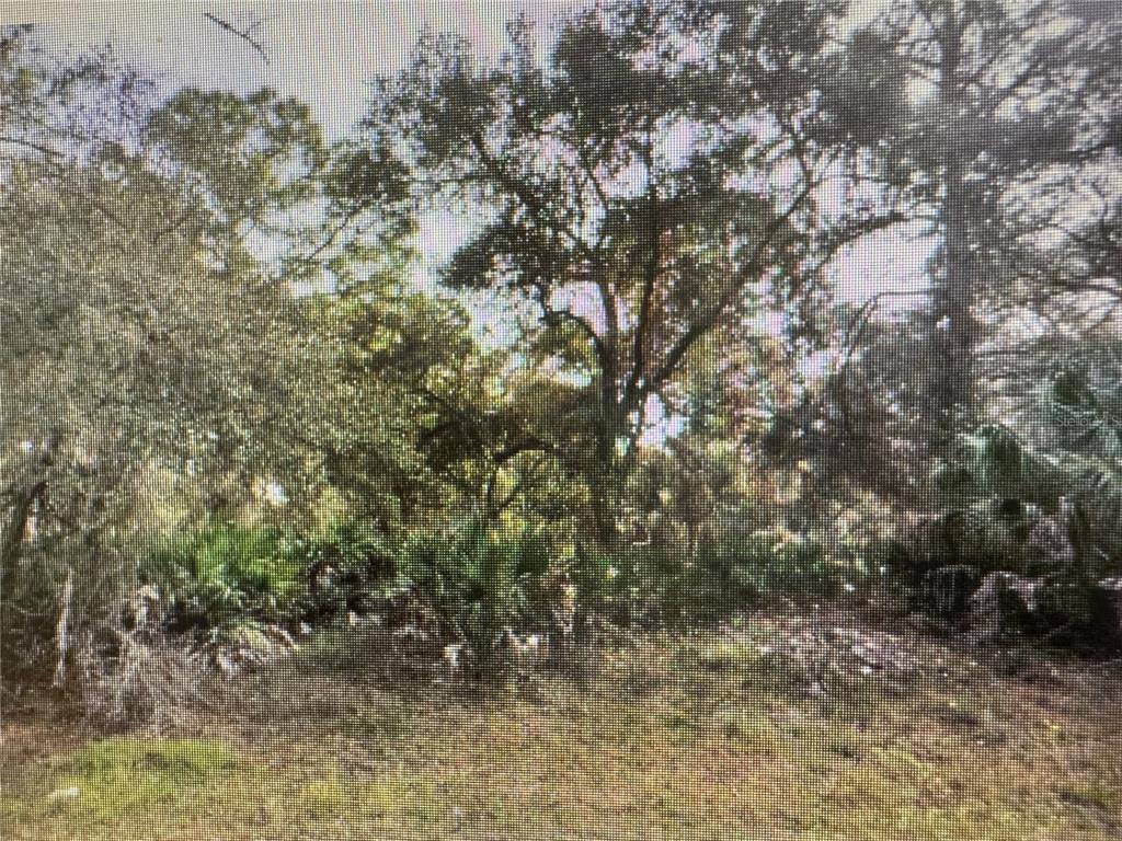 Trolley Rd Port North Port, FL 34291 - Photo 2 of 2 Gallery Image 2