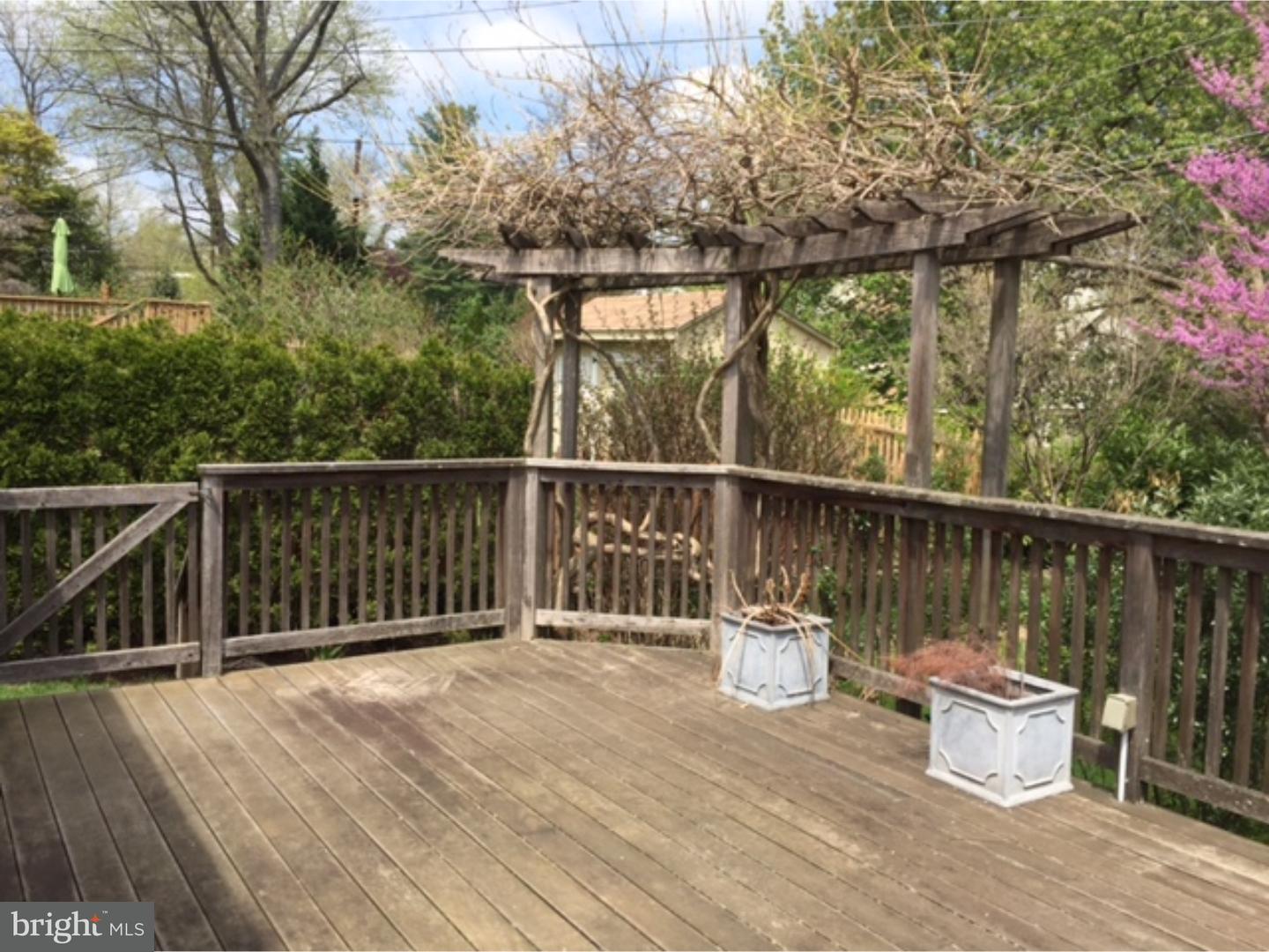 423 Red Leaf Road Wynnewood, PA 19096 - Photo 3 of 25 Deck