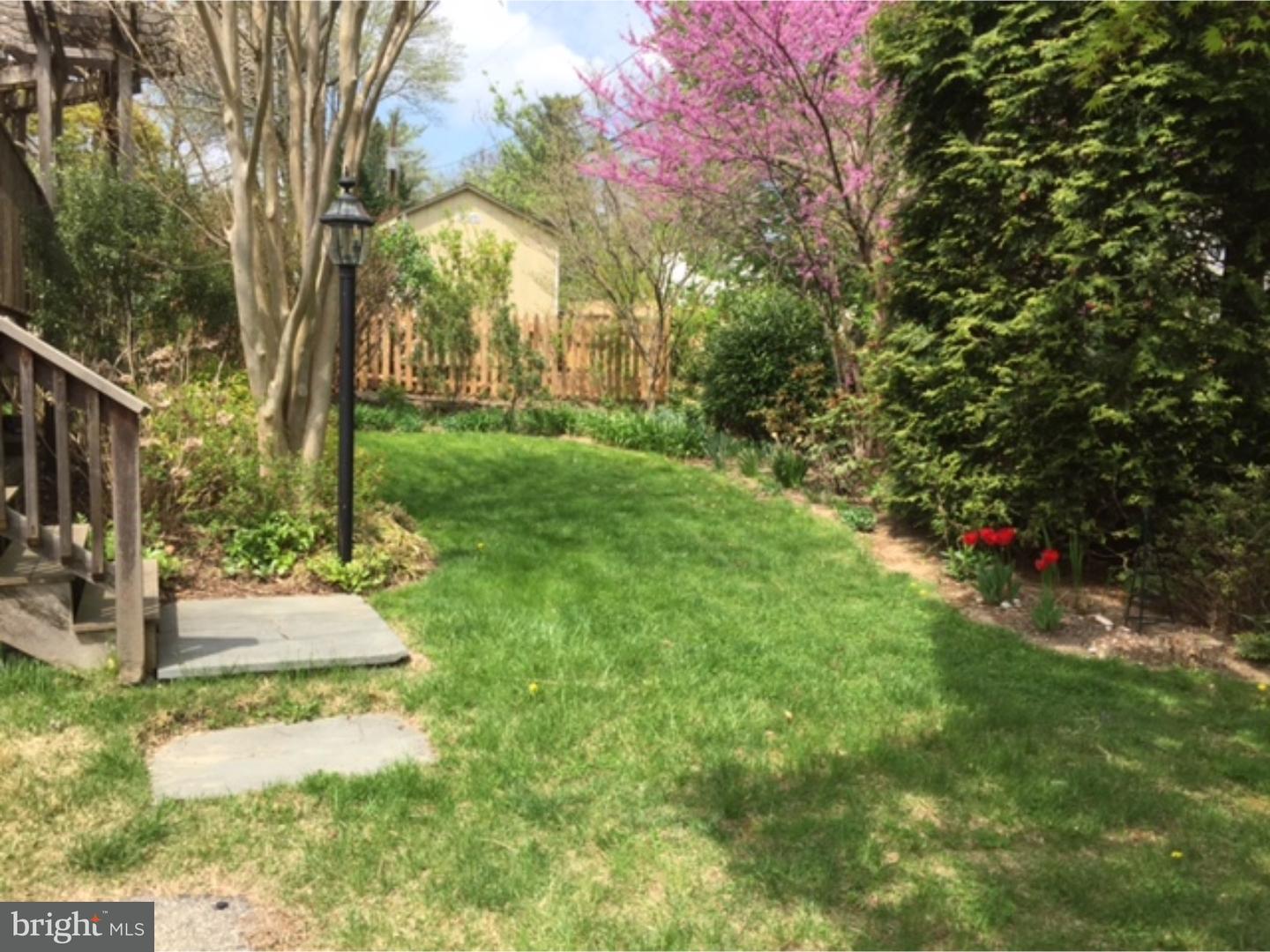 423 Red Leaf Road Wynnewood, PA 19096 - Photo 4 of 25 Back Yard
