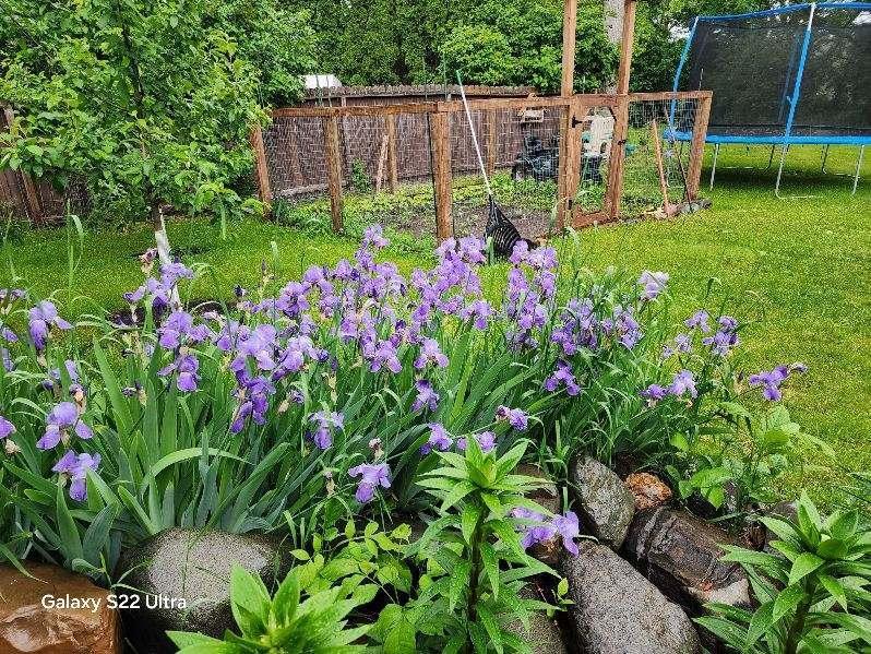 890 Maple Drive Osceola, WI 54020 - Photo 25 of 35