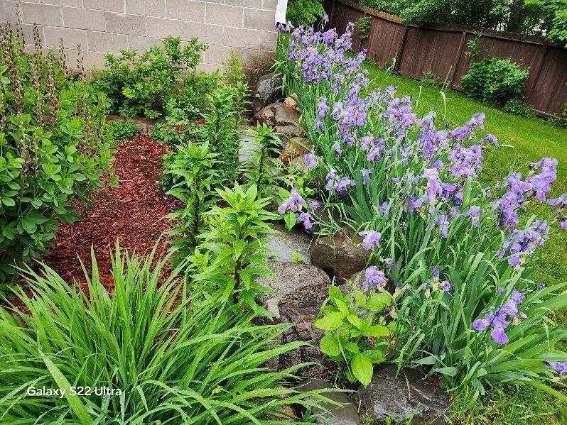 890 Maple Drive Osceola, WI 54020 - Photo 26 of 35