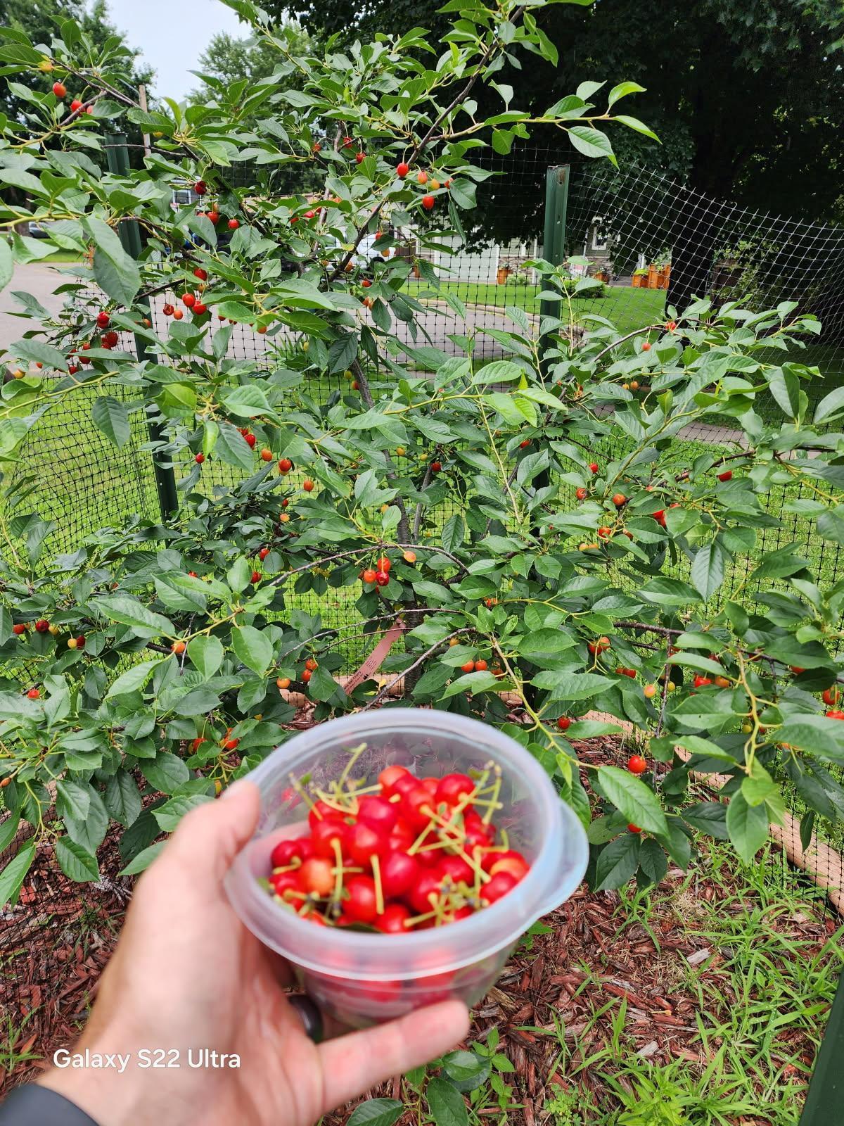 890 Maple Drive Osceola, WI 54020 - Photo 32 of 35