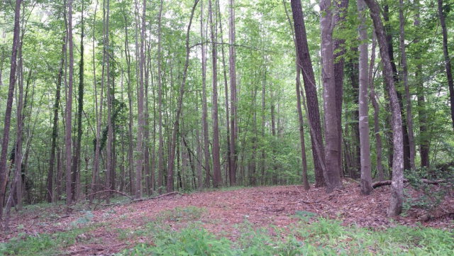 0 Us Highway Spring Hope, NC 27882 - Photo 1 of 1 Primary Photo
