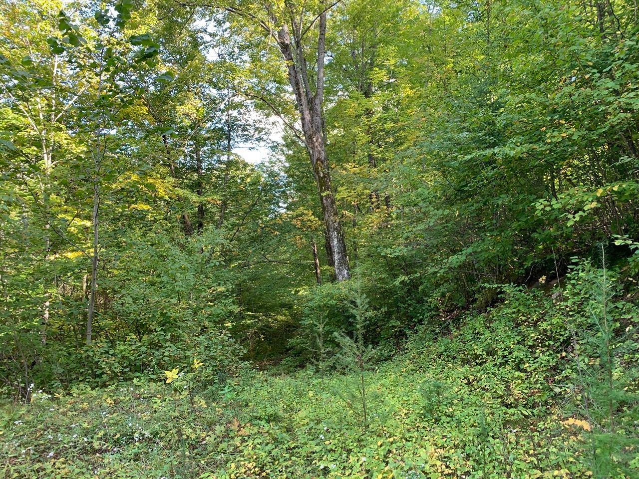 1590 Double Ee Road Park Falls, WI 54552 - Photo 33 of 46 Gallery Image 33
