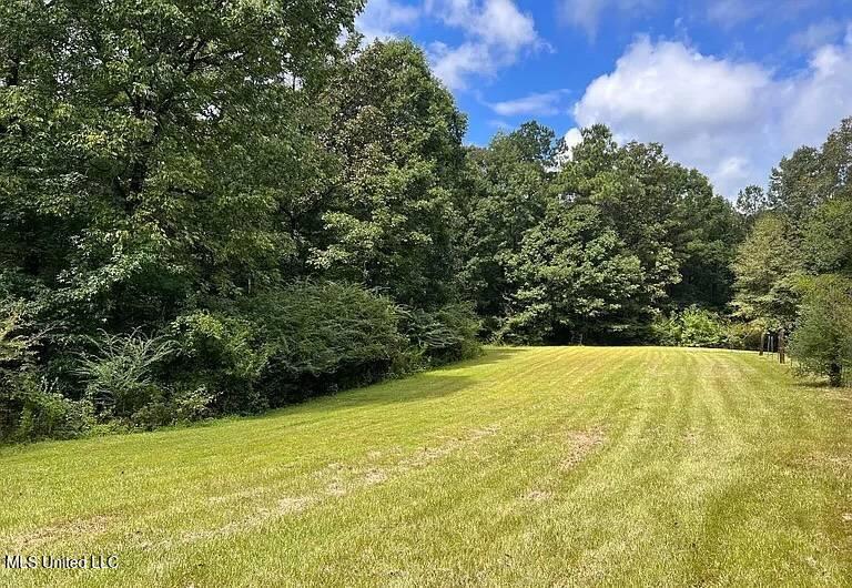 119 Spruce Drive Pinola, MS 39149 - Photo 16 of 27 11528209-mRQXsLrhl2fXXxpg