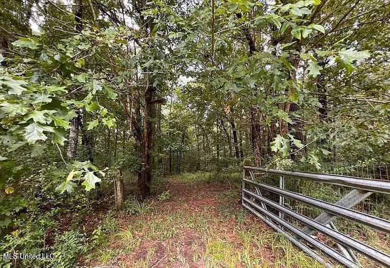 119 Spruce Drive Pinola, MS 39149 - Photo 22 of 27 11528209-wLw9YbyngtJ9JjbS