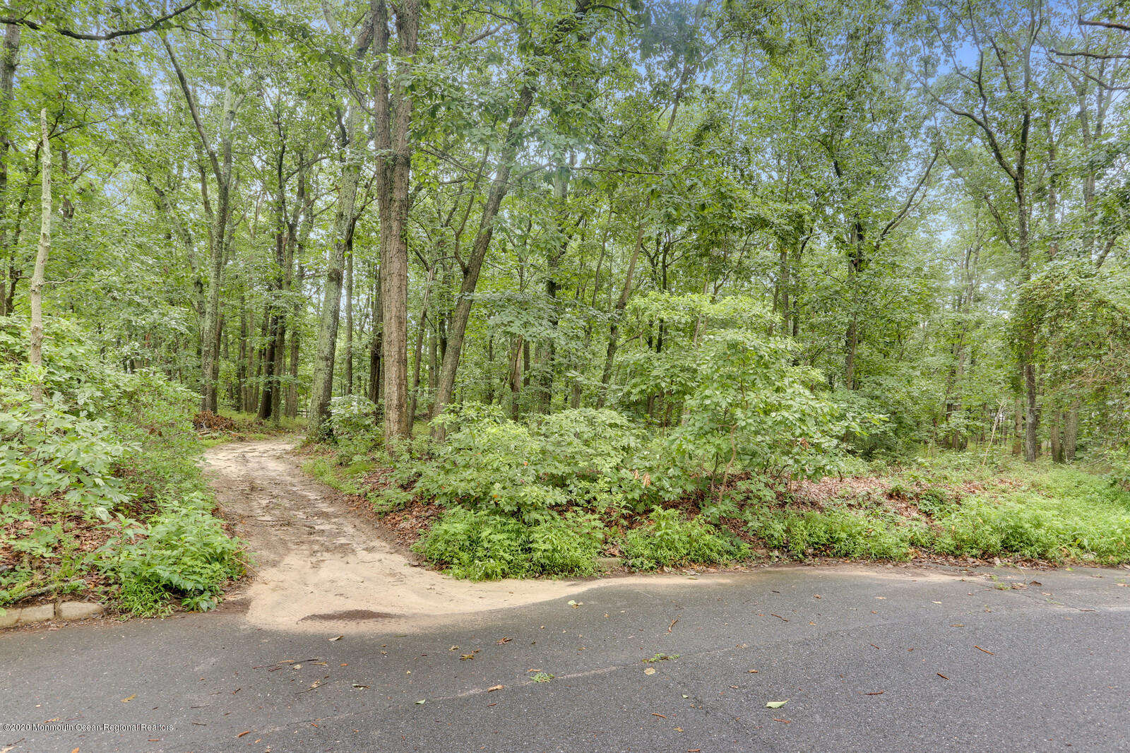 577 Pinehurst Road Cream Ridge, NJ 08514 - Photo 38 of 41 43_36Mountain_View_mls
