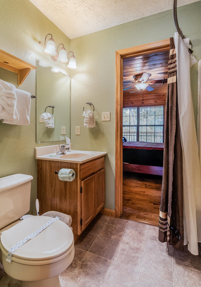1503 Boo Boos Way Sevierville, TN 37862 - Photo 17 of 33 Upstairs Bathroom