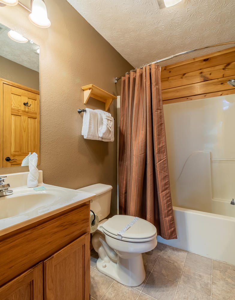1503 Boo Boos Way Sevierville, TN 37862 - Photo 19 of 33 Upstairs Bathroom