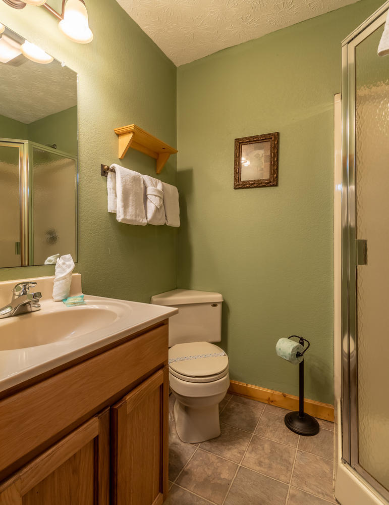 1503 Boo Boos Way Sevierville, TN 37862 - Photo 21 of 33 Upstairs Bathroom