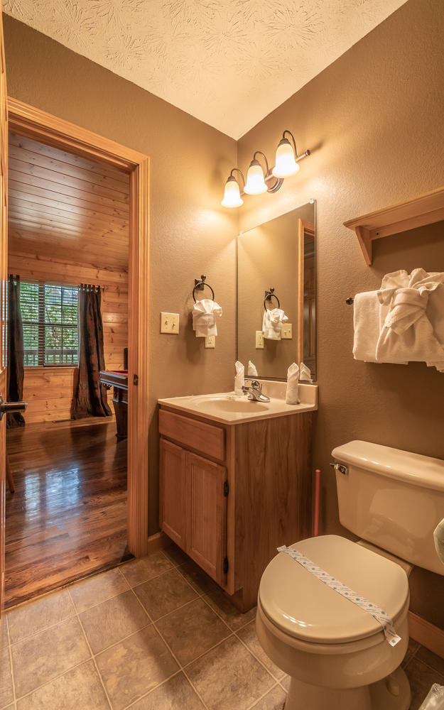 1503 Boo Boos Way Sevierville, TN 37862 - Photo 27 of 33 Downstairs Bathroom