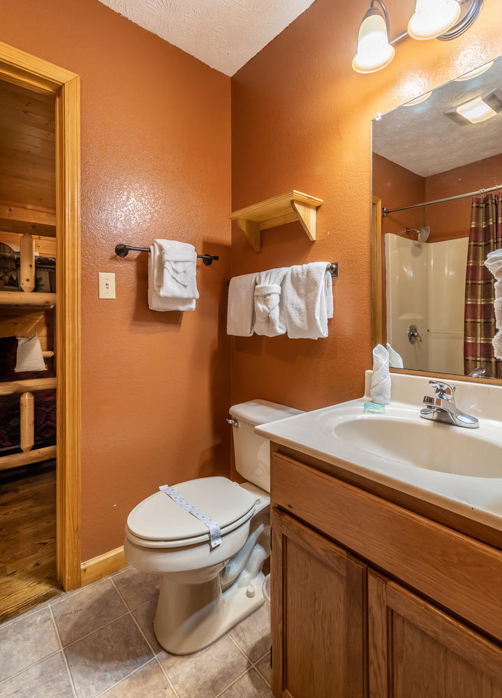1503 Boo Boos Way Sevierville, TN 37862 - Photo 29 of 33 Downstairs Bathroom