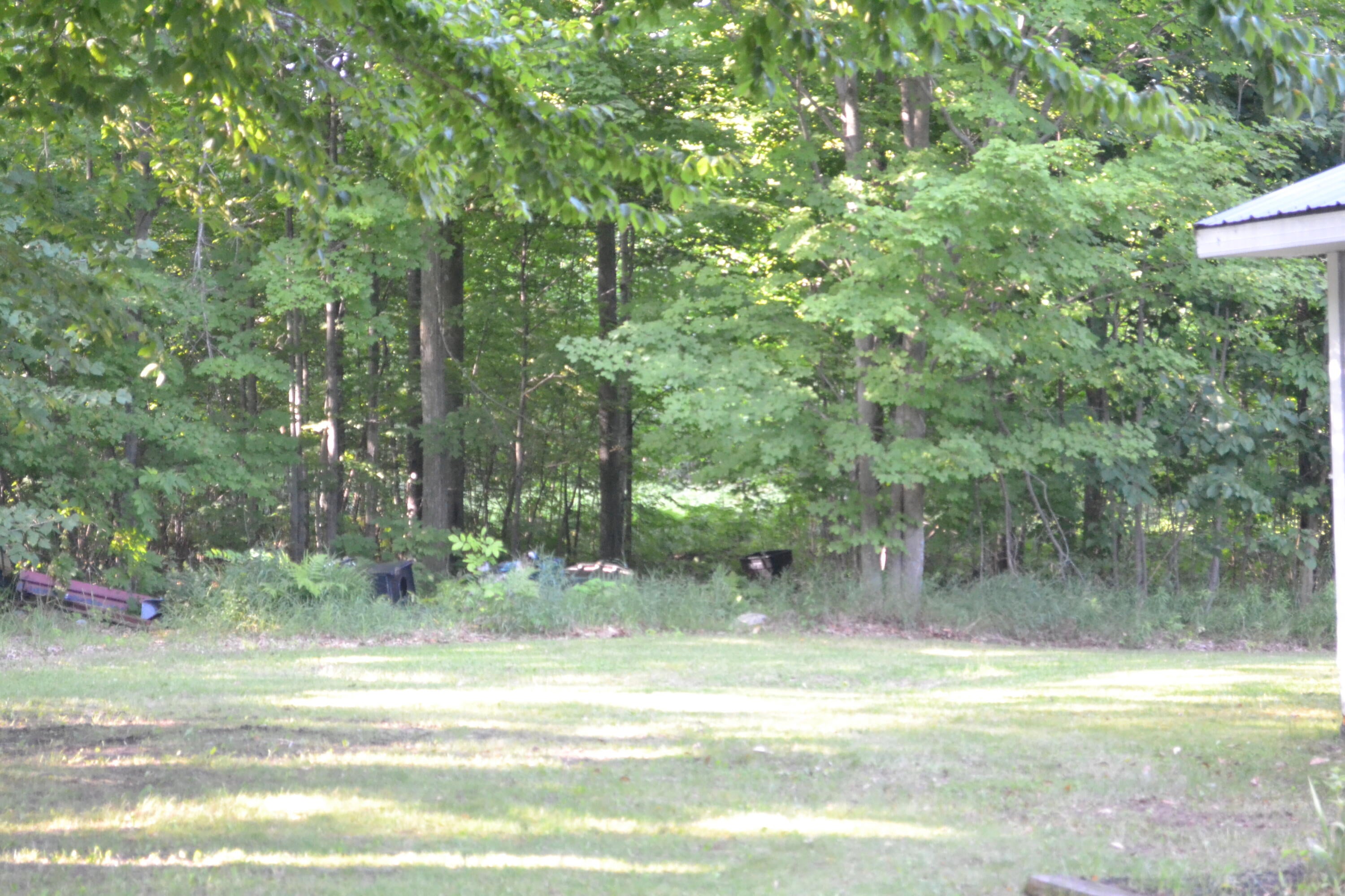 22990 Cohoon Road Hillman, MI 49746 - Photo 29 of 35 Gallery Image 29
