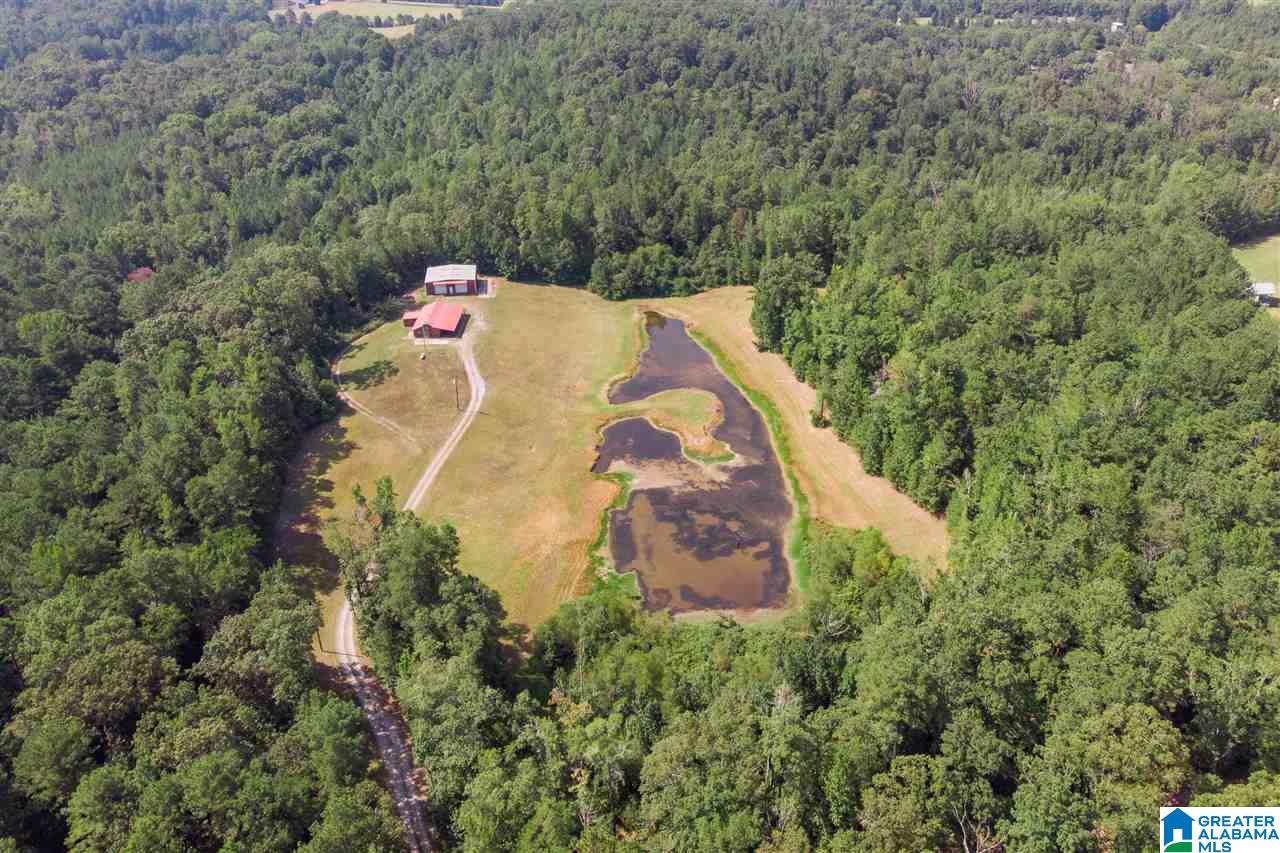 94 Rose Road Vincent, AL 35178 - Photo 32 of 40
