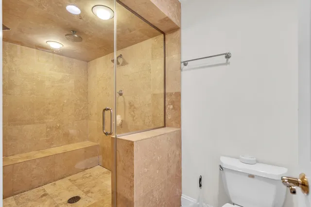a bathroom with a shower and a toilet
