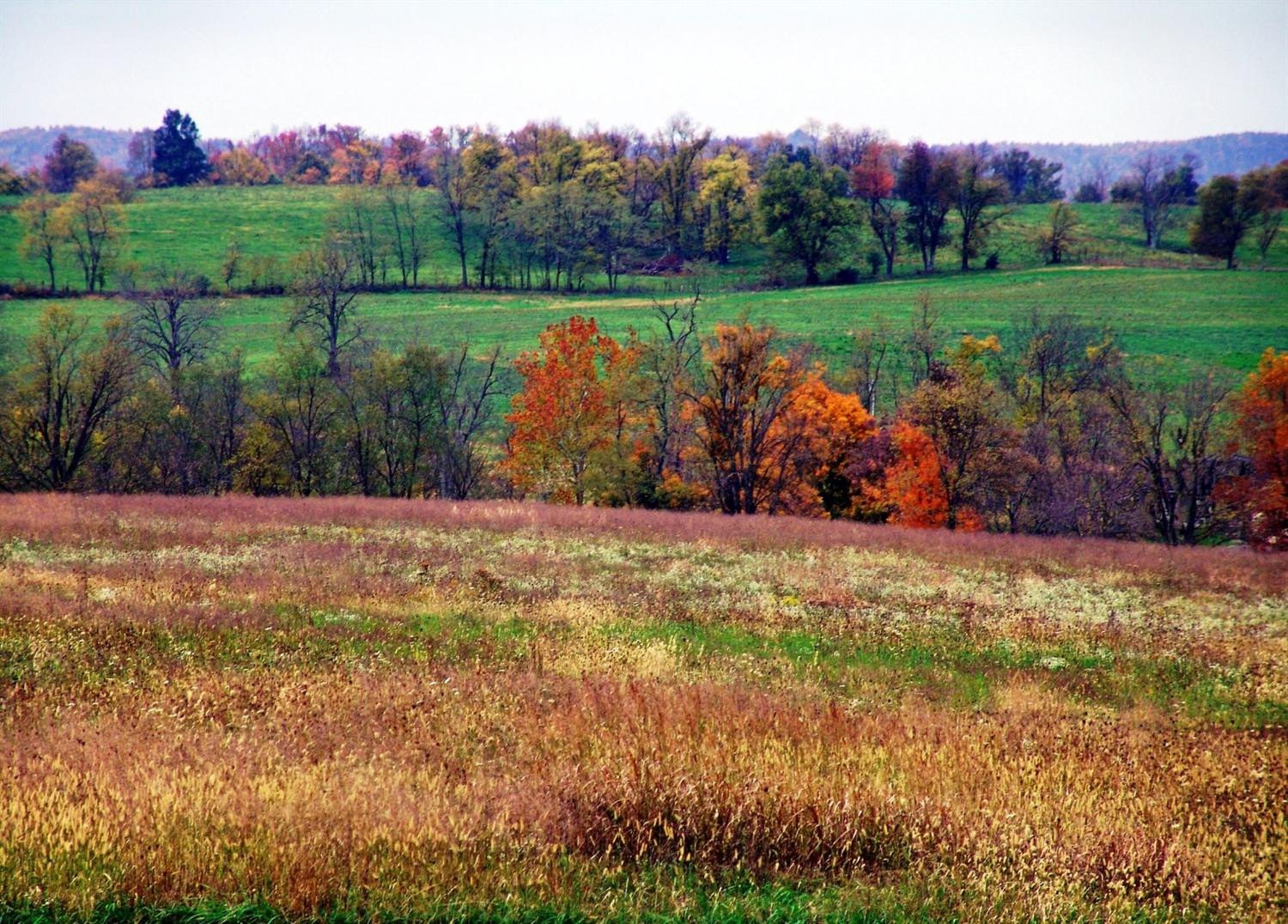 995 Nield Road Danville, KY 40422 - Photo 10 of 79 Photo 10
