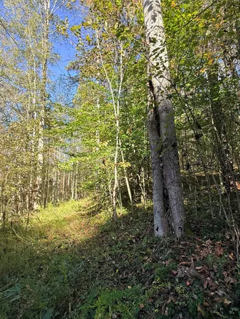 $155,000 | Eatons Chapel, Staffordsville, VA 24167