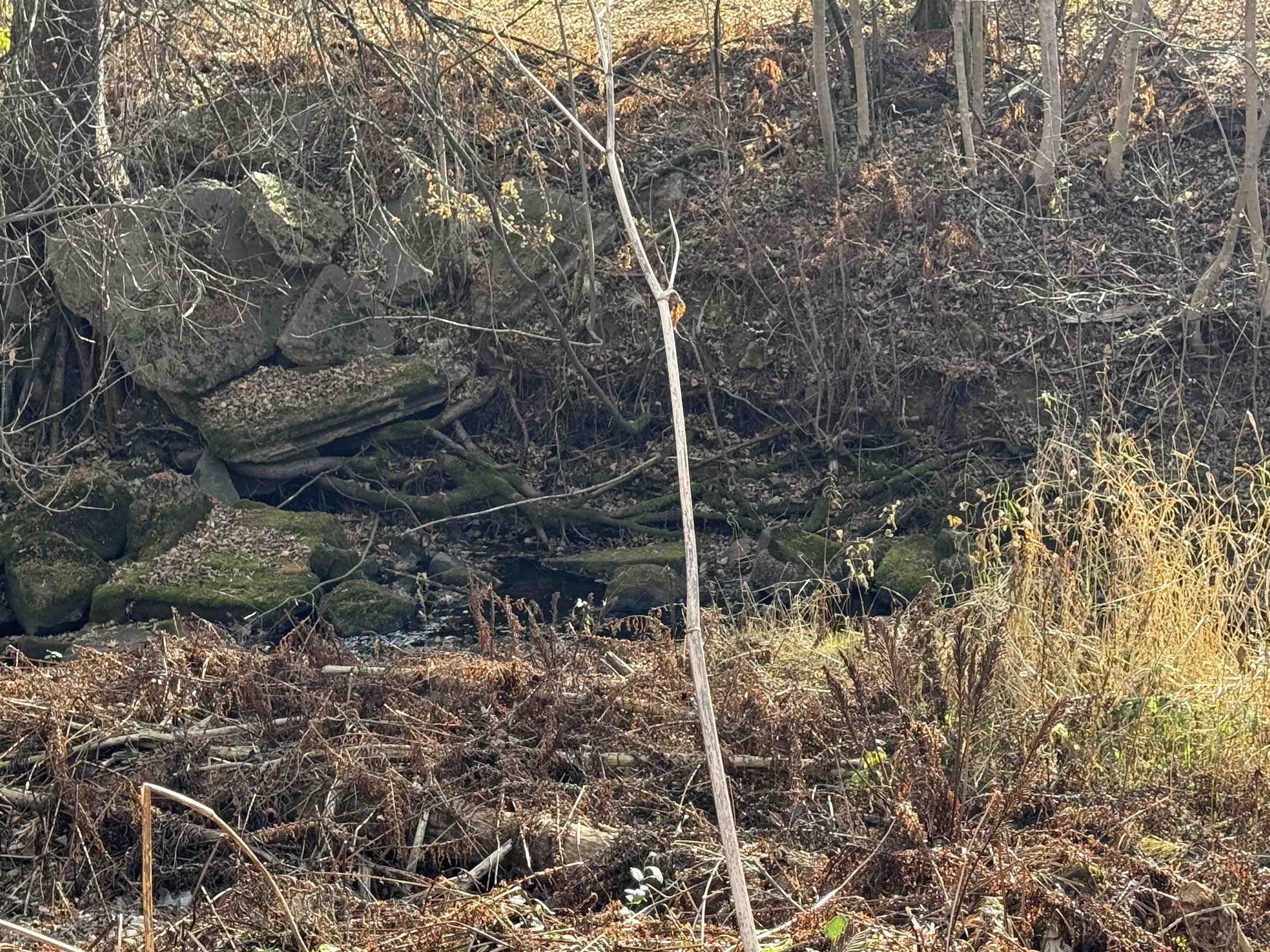 2100 West Arrowhead Road Duluth, MN 55811 - Photo 5 of 8