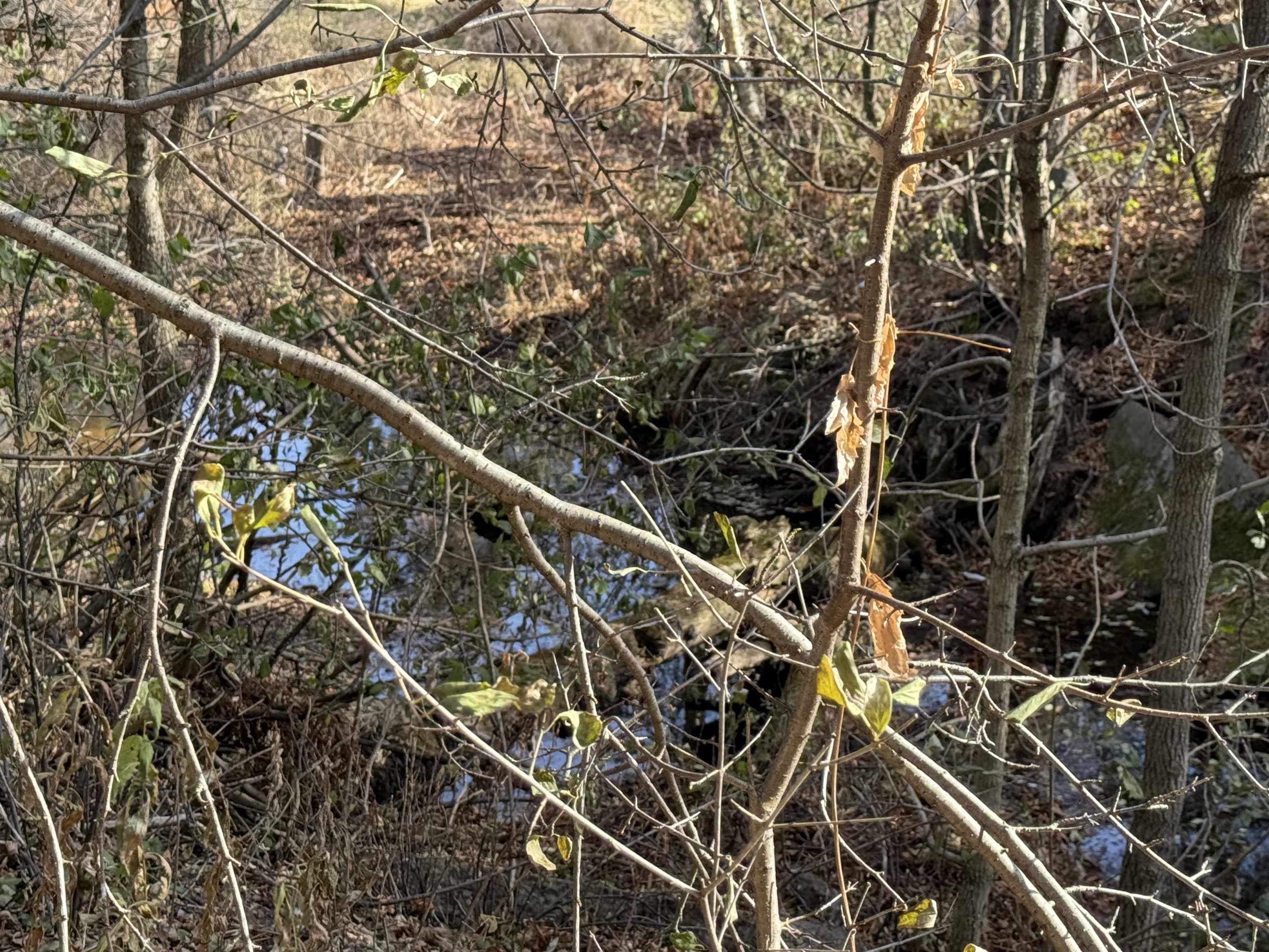 2100 West Arrowhead Road Duluth, MN 55811 - Photo 6 of 8