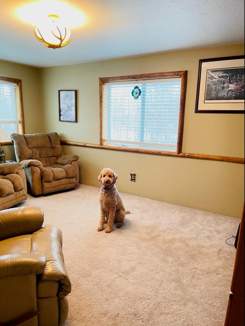 9925 West Long Lake Road Alpena, MI 49707 - Photo 30 of 55 Gallery Image 30