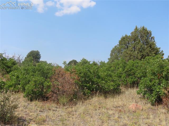 493 Cheyenne Road Florissant, CO 80816 - Photo 7 of 24 Gallery Image 7